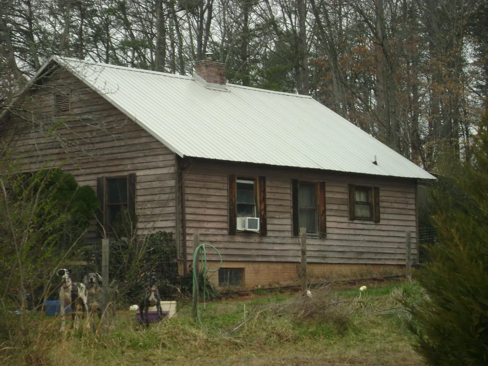 White metal roof on an old wood sided farmhouse, from a Asphalt Shingle Roof Repair job in Fairview